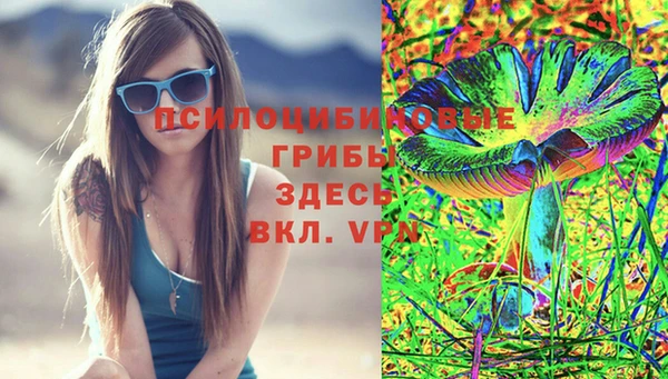 эйфоретик Алзамай
