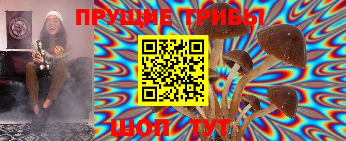 Псилоцибиновые грибы Cubensis  Вход с VPN  Галлюциногенные грибы MAGIC MUSHROOMS  Лениногорск 